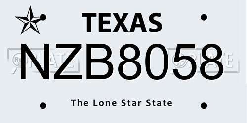 NZB8058 Texas License Plate