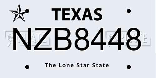 NZB8448 Texas License Plate