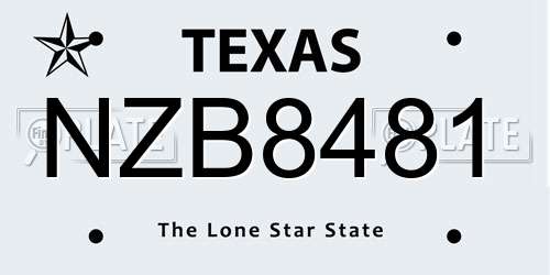 NZB8481 Texas License Plate