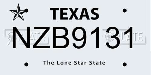 NZB9131 Texas License Plate