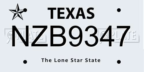 NZB9347 Texas License Plate