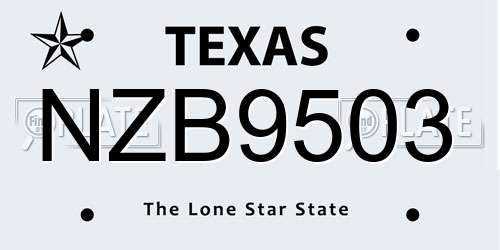 NZB9503 Texas License Plate