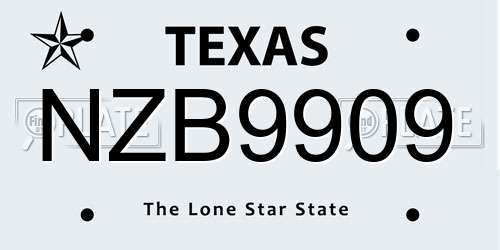NZB9909 Texas License Plate