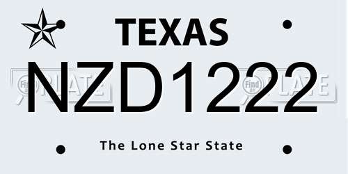 NZD1222 Texas License Plate