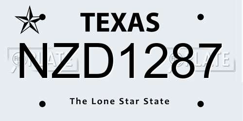 NZD1287 Texas License Plate