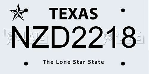 NZD2218 Texas License Plate