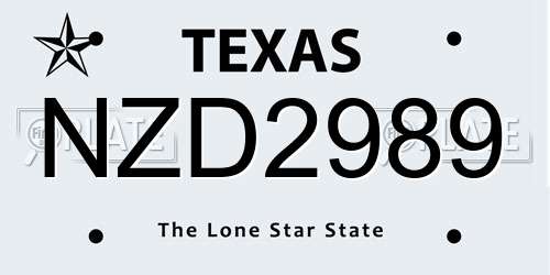 NZD2989 Texas License Plate