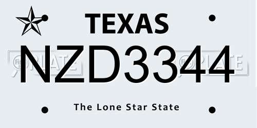 NZD3344 Texas License Plate