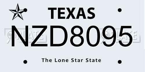 NZD8095 Texas License Plate