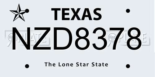 NZD8378 Texas License Plate
