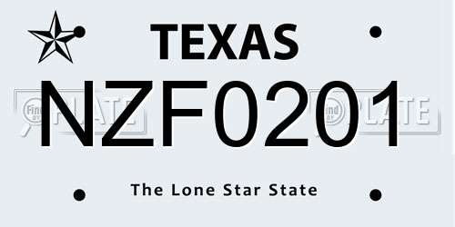 NZF0201 Texas License Plate