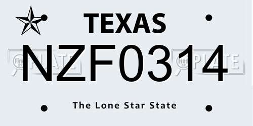 NZF0314 Texas License Plate