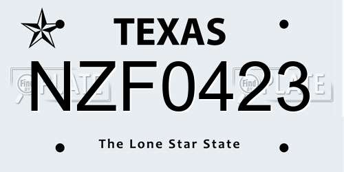 NZF0423 Texas License Plate