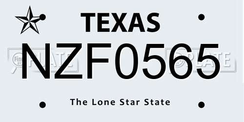 NZF0565 Texas License Plate