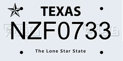 NZF0733 Texas License Plate
