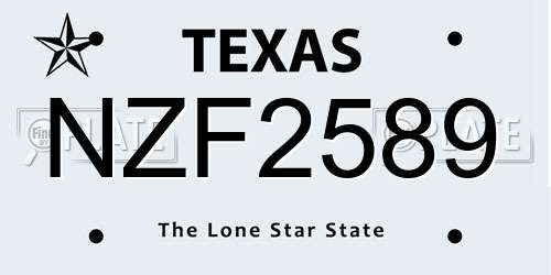 NZF2589 Texas License Plate