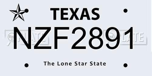 NZF2891 Texas License Plate