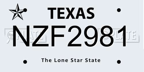 NZF2981 Texas License Plate