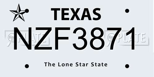 NZF3871 Texas License Plate