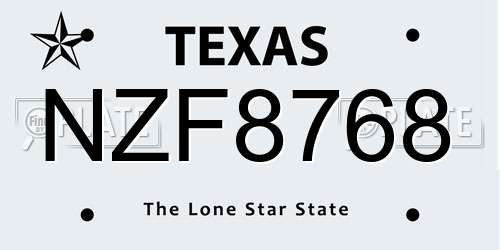 NZF8768 Texas License Plate