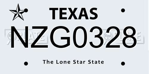 NZG0328 Texas License Plate