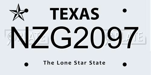 NZG2097 Texas License Plate