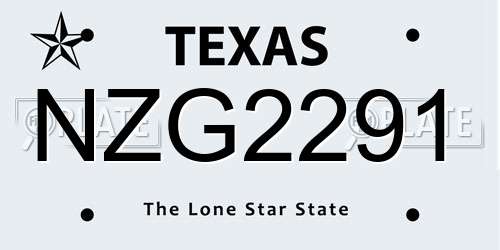 NZG2291 Texas License Plate