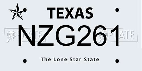 NZG261 Texas License Plate