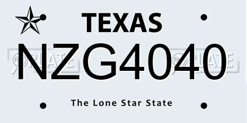 NZG4040 Texas License Plate
