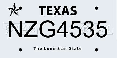 NZG4535 Texas License Plate
