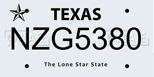 NZG5380 Texas License Plate