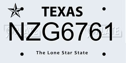 NZG6761 Texas License Plate