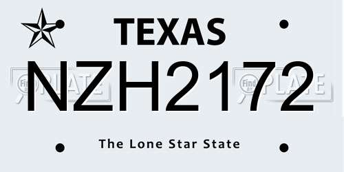NZH2172 Texas License Plate