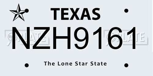 NZH9161 Texas License Plate