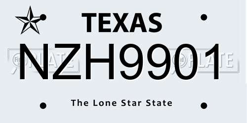 NZH9901 Texas License Plate