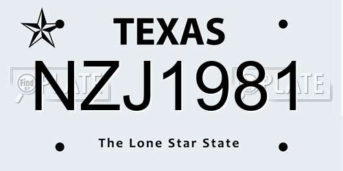 NZJ1981 Texas License Plate