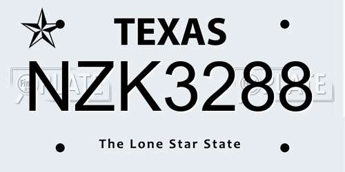 NZK3288 Texas License Plate