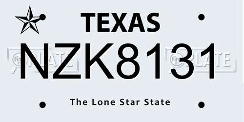 NZK8131 Texas License Plate