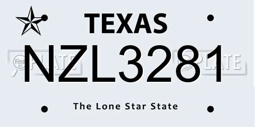 NZL3281 Texas License Plate