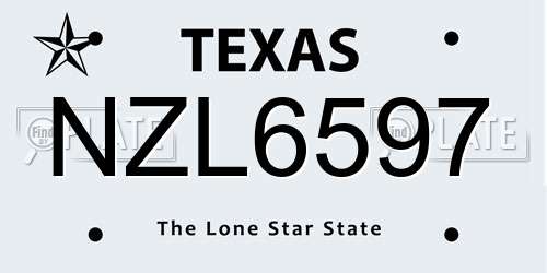 NZL6597 Texas License Plate