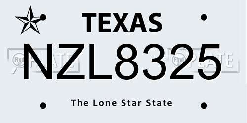 NZL8325 Texas License Plate