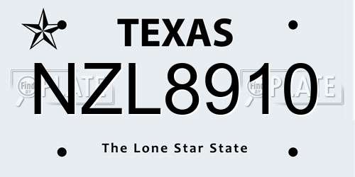 NZL8910 Texas License Plate