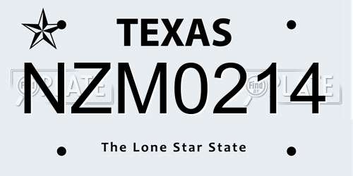 NZM0214 Texas License Plate