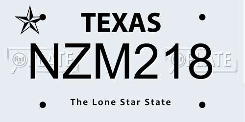 NZM218 Texas License Plate