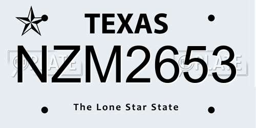 NZM2653 Texas License Plate