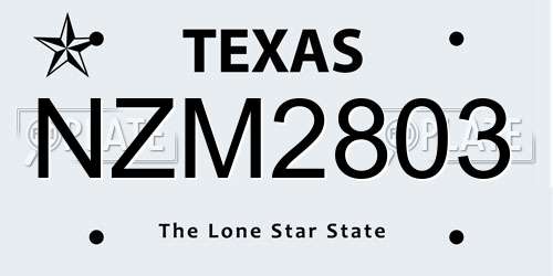 NZM2803 Texas License Plate