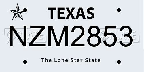 NZM2853 Texas License Plate