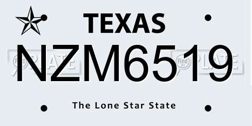 NZM6519 Texas License Plate