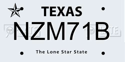 NZM71B Texas License Plate