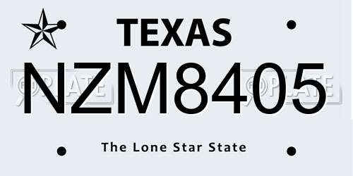NZM8405 Texas License Plate